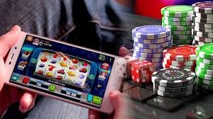 5567 bet app