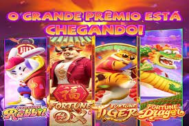 5567 bet app