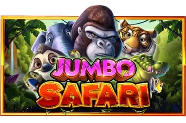 5567 bet app