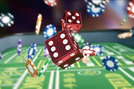 5567 bet app